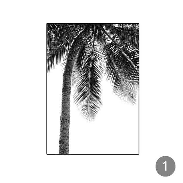 Fotografia Tropicale in Bianco e Nero